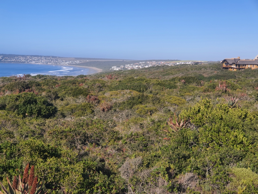 0 Bedroom Property for Sale in Boggomsbaai Western Cape